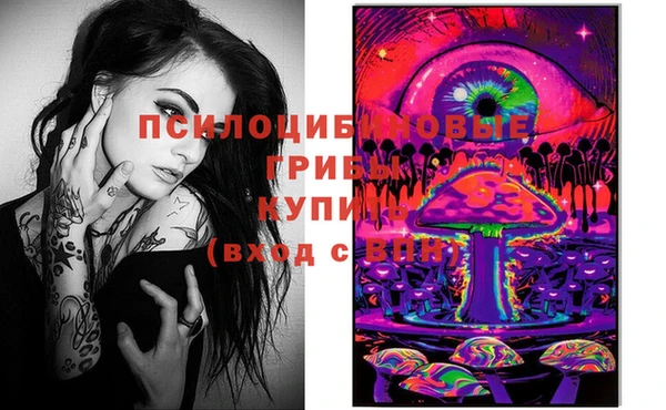 молекула духа Алексин