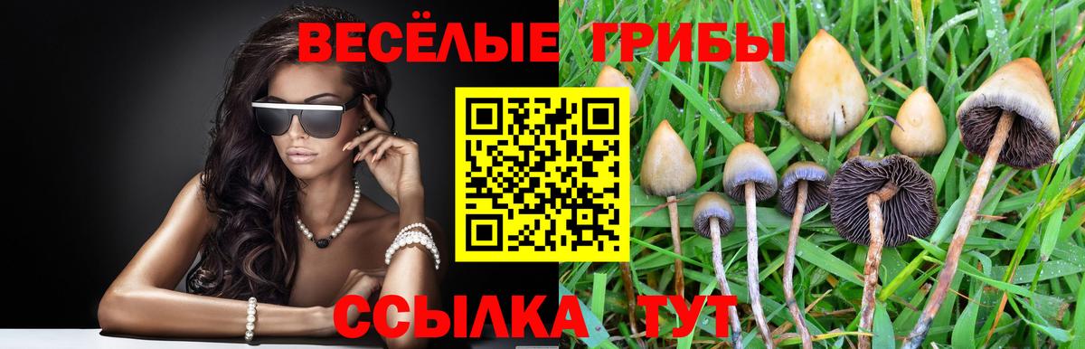 Галлюциногенные грибы мицелий Добрянка